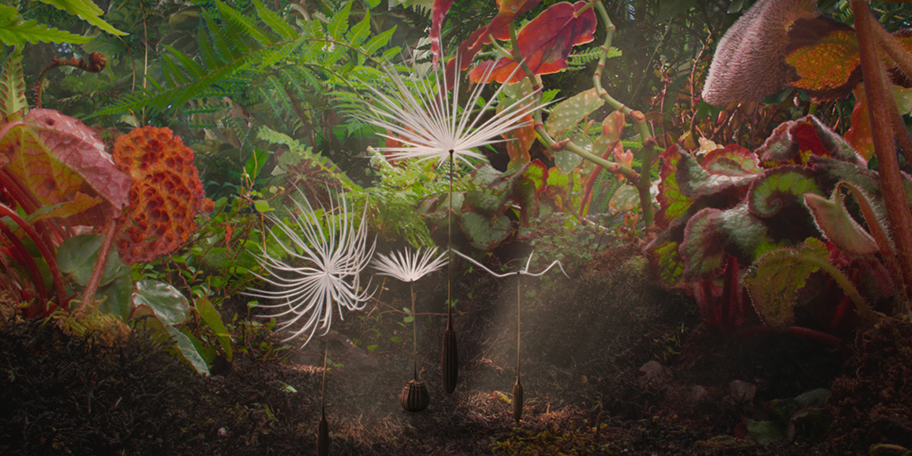 screenshot from opening night film Dandelion's Odyssey