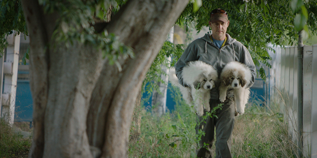 Image from opening night film, The Biggest Little Farm.