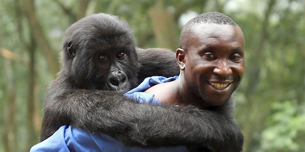 screenshot from Virunga (2014)