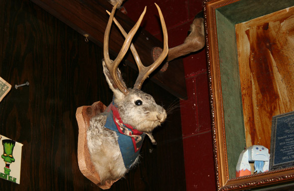 photo of a jackalope